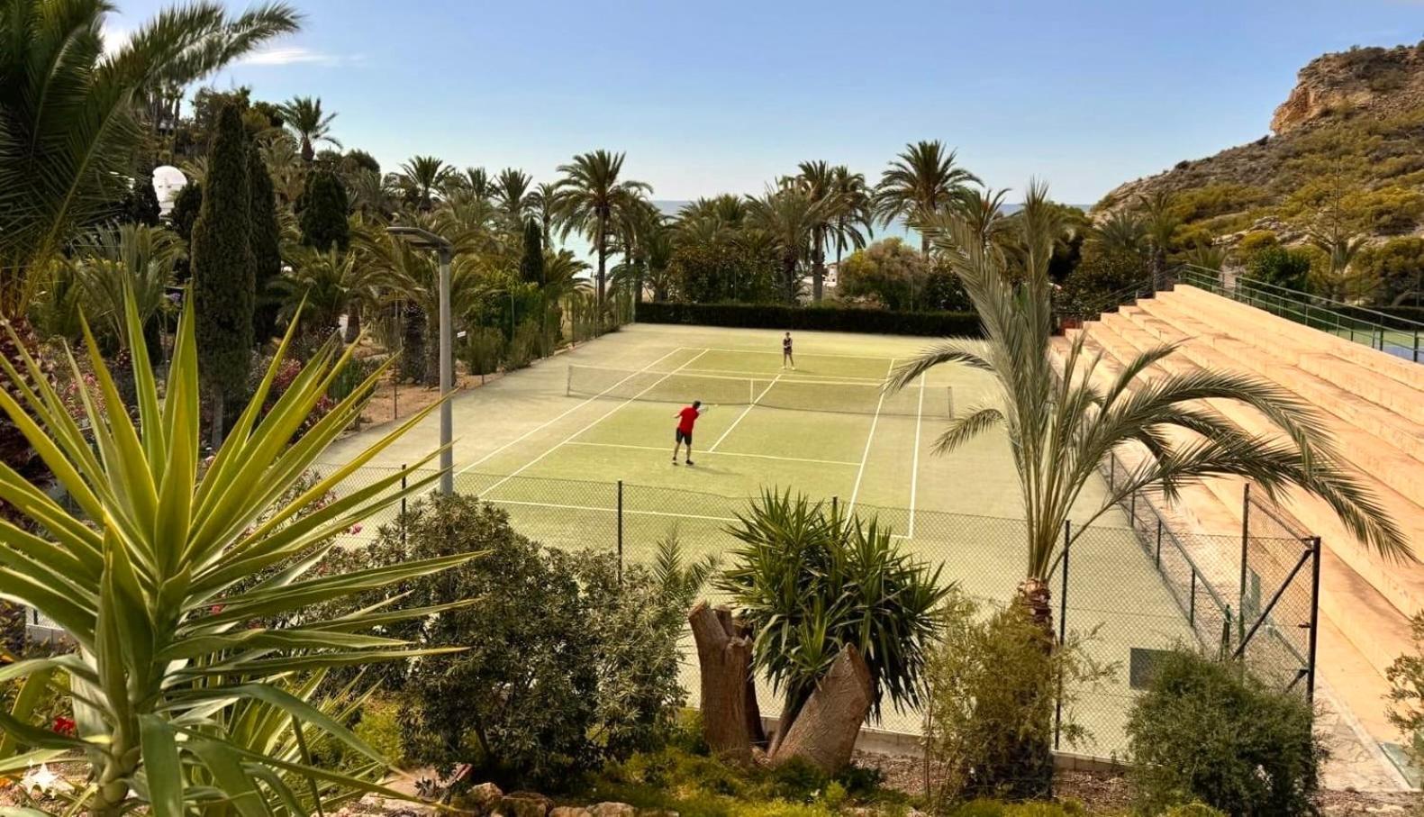Palm Paradise - Private Access To The *