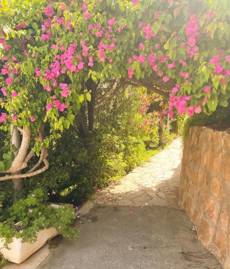 Palm Paradise - Private Access To The Apartment *